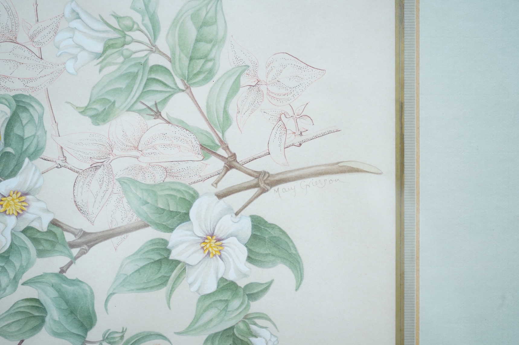 Mary Grierson (1912-2012), Study of flowers, signed, Spink label verso, watercolour heightened with white, 24 x 33cm